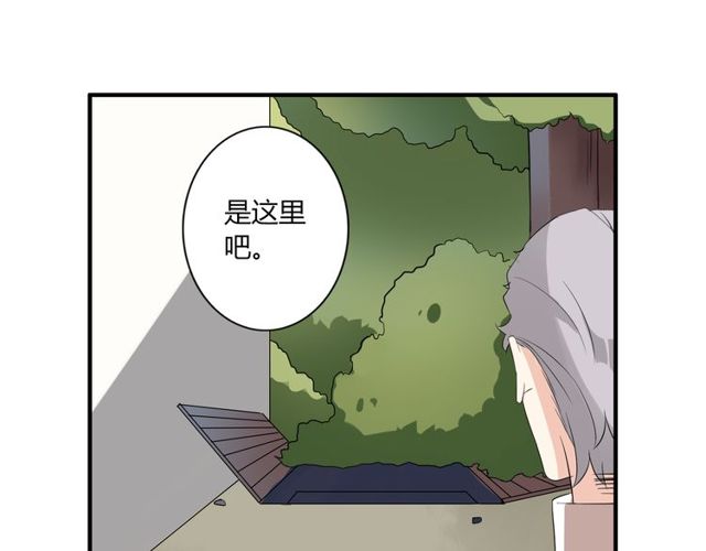 第11话 画风突变?(1/2)-第12话