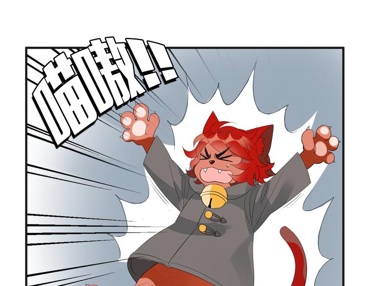 第6话 猫耳娘？(1/2)-第6话