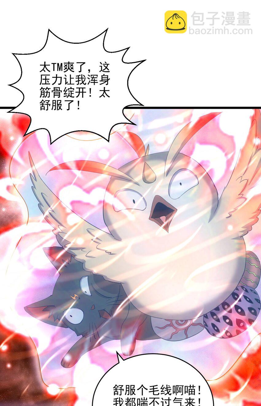 🍟萬古第一神 088 猪脸肿不肿？ 第4页
