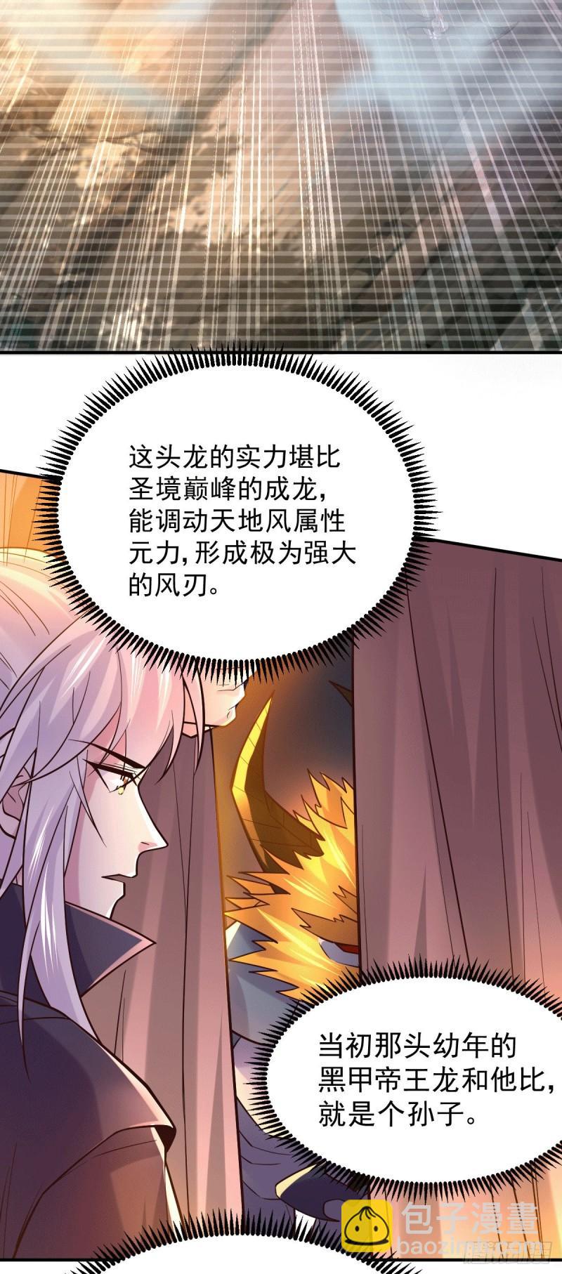 🍟萬古龍神 第119话 疯狂的拍卖会 第3页