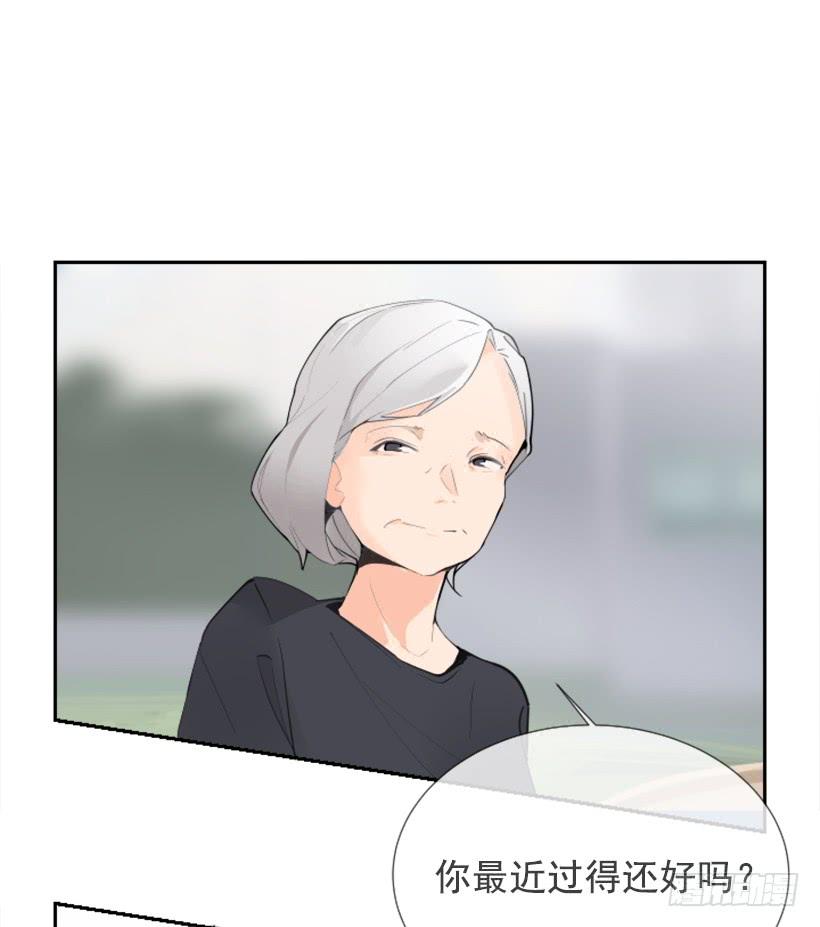 记者会登场(1/2)-第250话