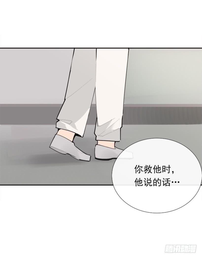 夫人的试探(1/2)-第252话