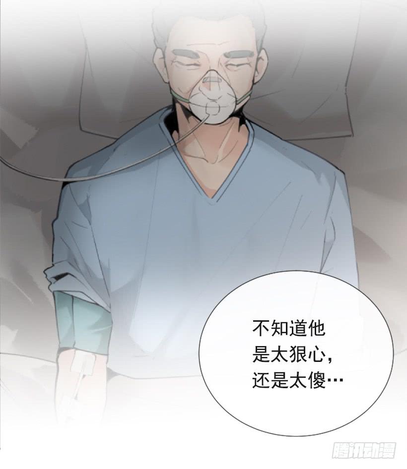 夫人的试探(1/2)-第252话