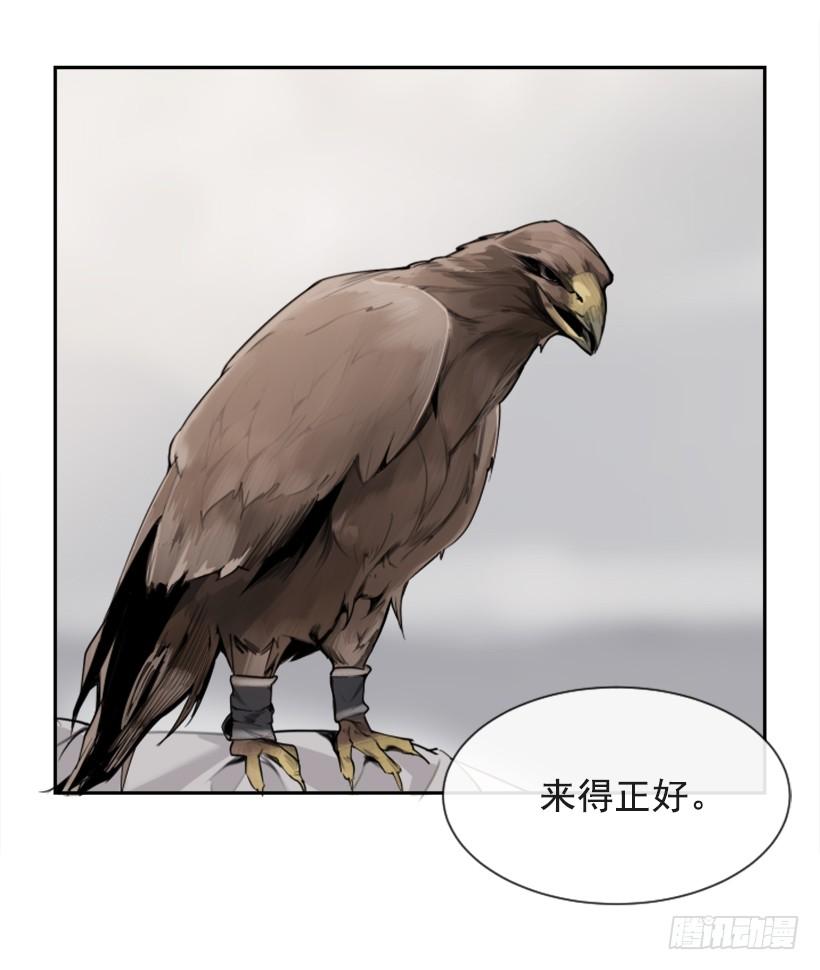 攻城略地(1/2)-第306话