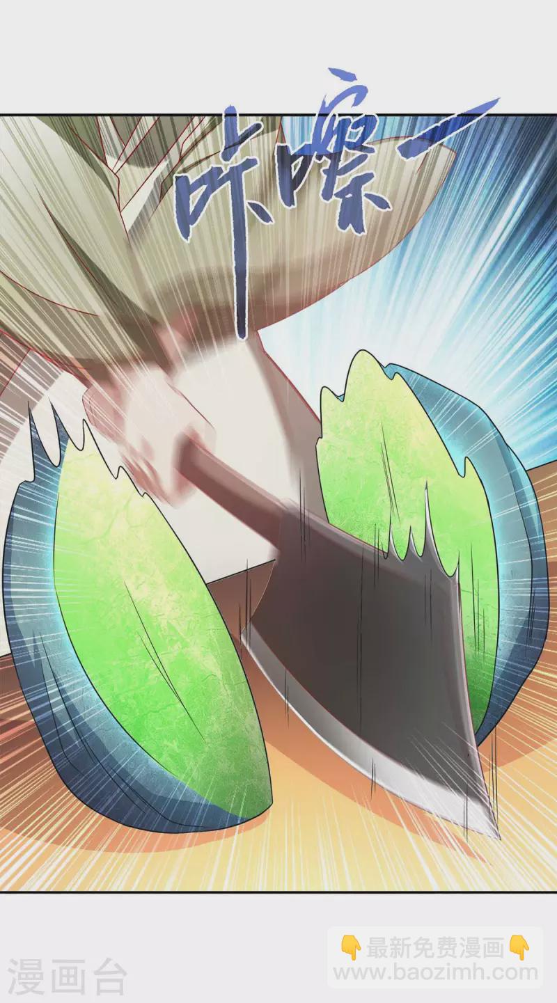 第54话 赌石-第54话