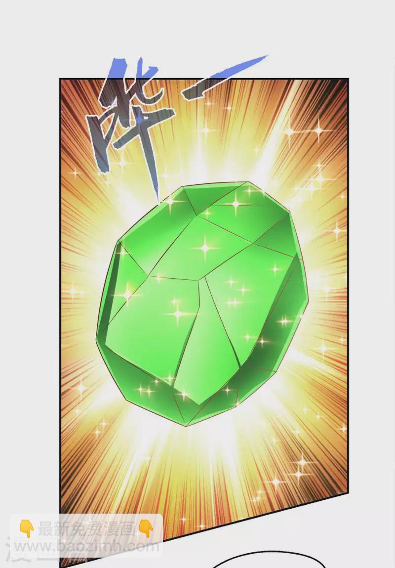 第54话 赌石-第54话