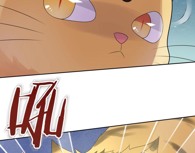 第45话 我的小猫咪(1/2)-第46话