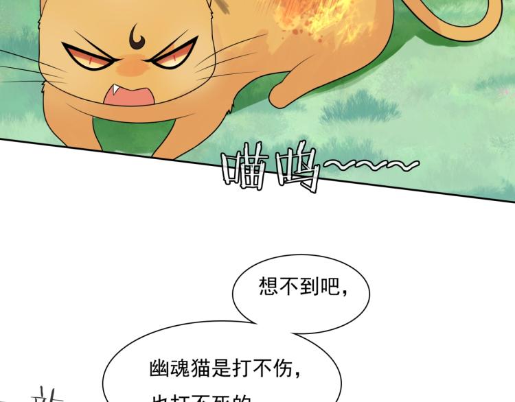 第45话 我的小猫咪(1/2)-第46话