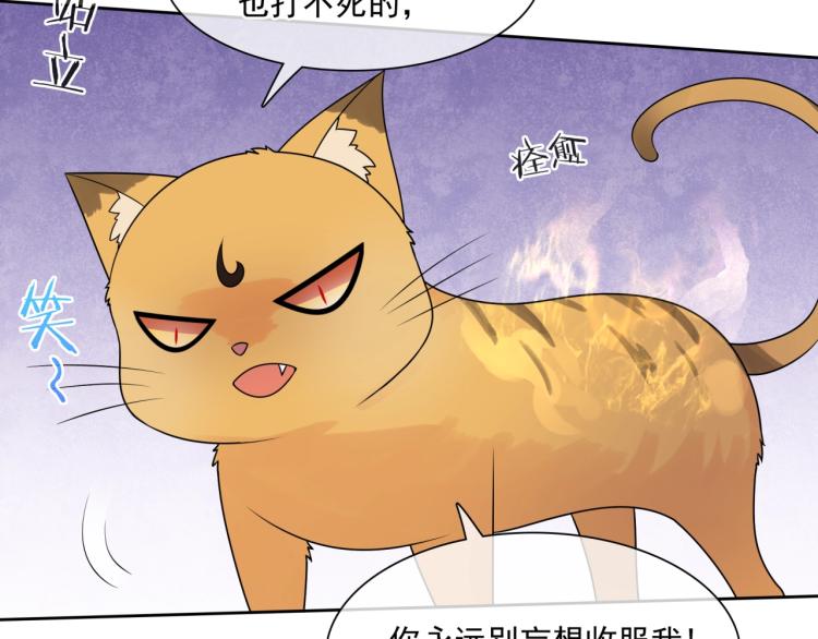 第45话 我的小猫咪(1/2)-第46话