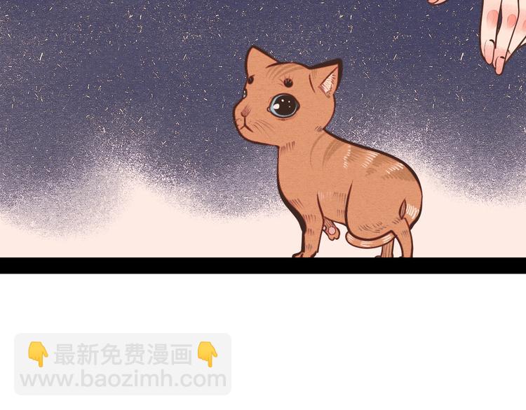 第44话 抢婚啦！(1/4)-第46话