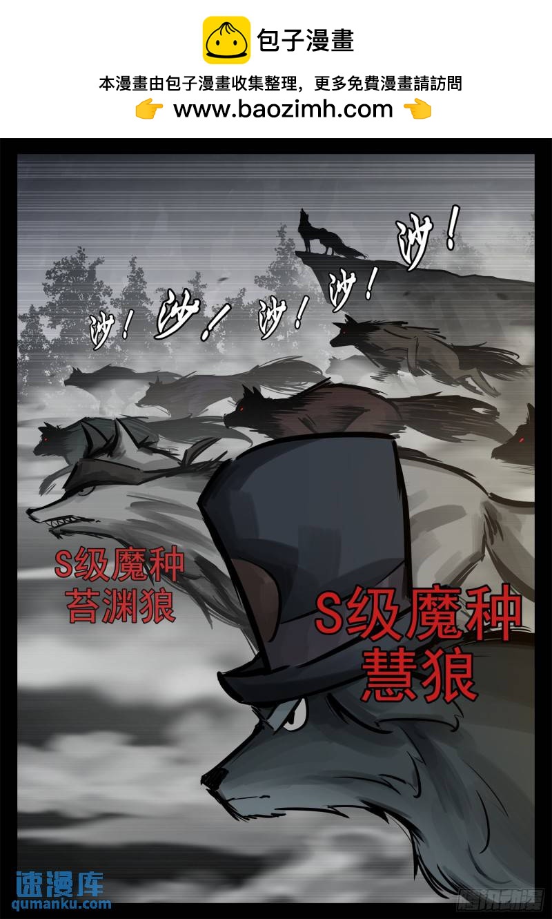第二百五十三章 我不会再逃了-第254话