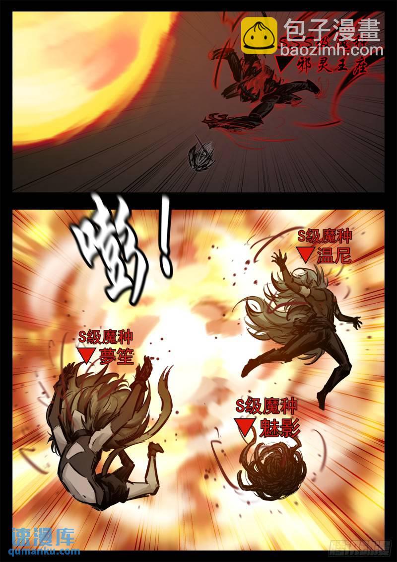 第二百五十三章 我不会再逃了-第254话