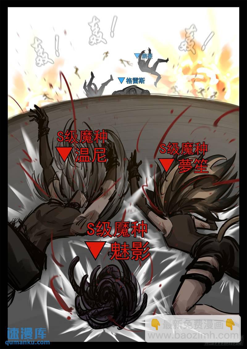 第二百五十三章 我不会再逃了-第254话