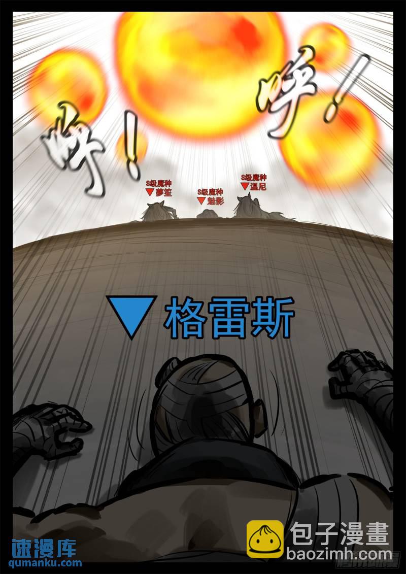 第二百五十三章 我不会再逃了-第254话