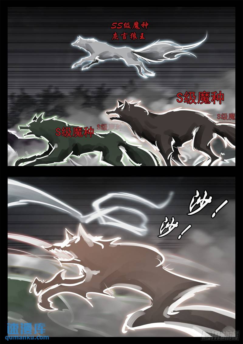第二百五十三章 我不会再逃了-第254话
