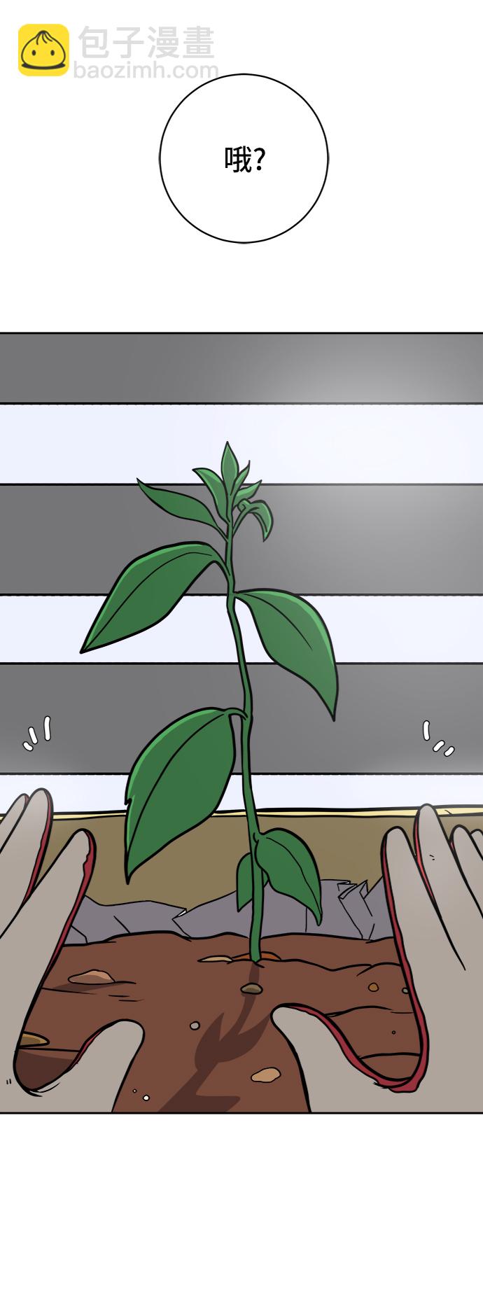 🍟末日避难所 [第47话] 治愈空间1-宝拉的一天 第4页