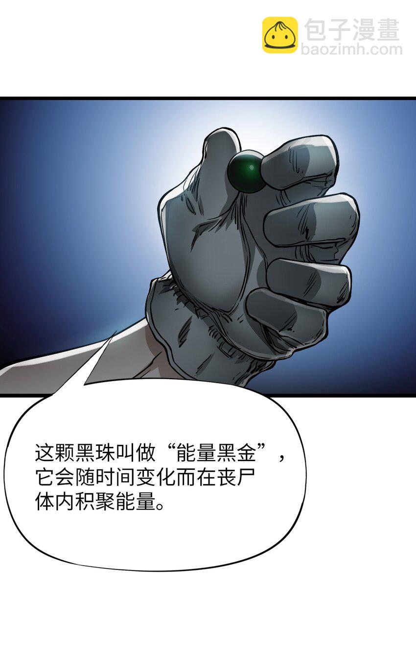 🍟末日机械师 17 黑金 第29页