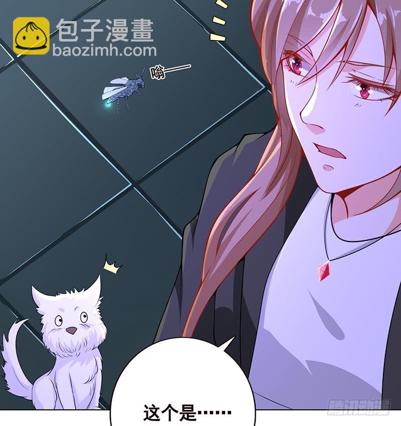 第102话 三句箴言(1/2)-第102话