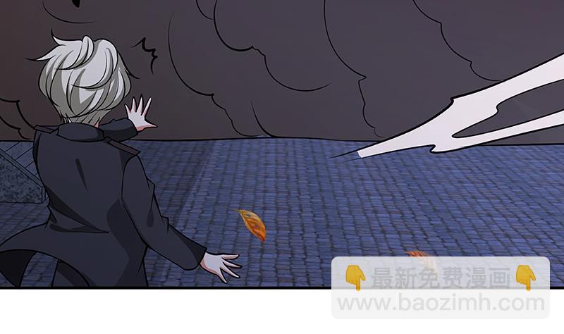 第238话 Z的秘密(1/2)-第238话