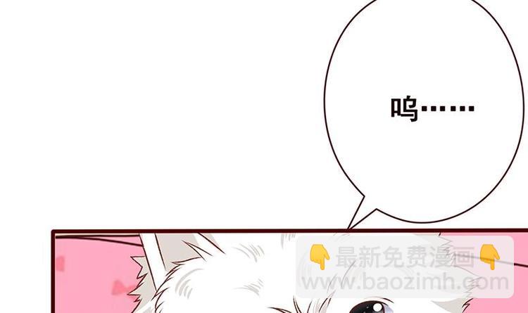 第4话 秘境仙府(1/2)-第4话
