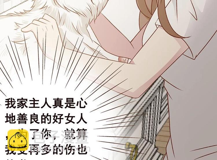 第4话 秘境仙府(1/2)-第4话