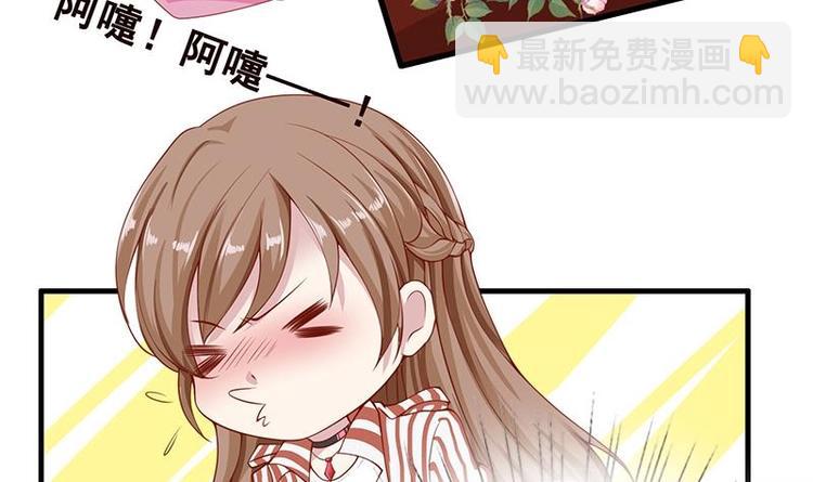 第4话 秘境仙府(1/2)-第4话