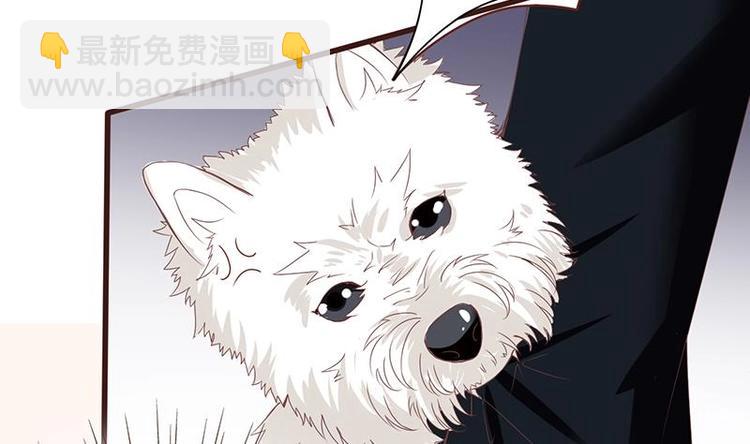 第10话 临裆一脚(1/2)-第10话