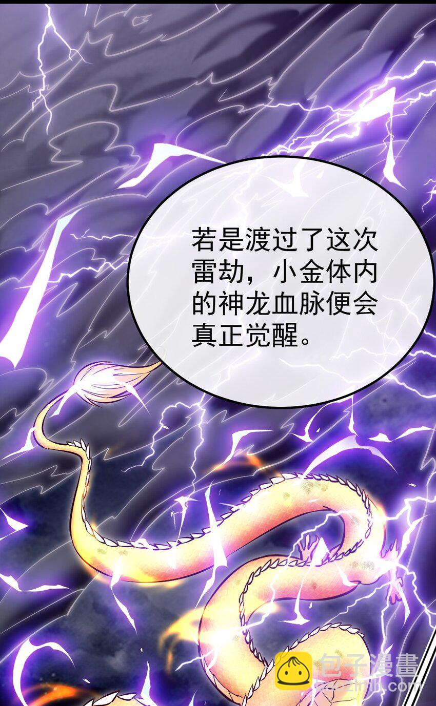 303 小金的雷劫-第302话