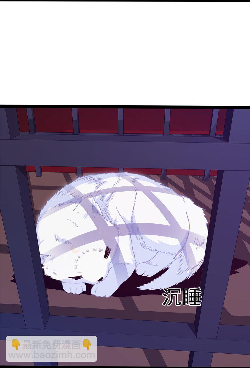 036 月狼王幼崽-第36话