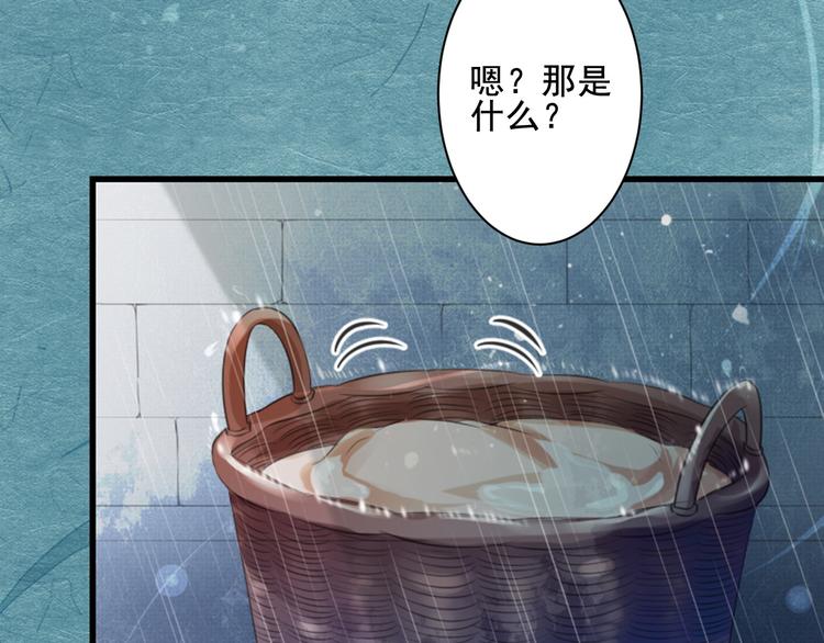 第28话 包拯的宠物(1/2)-第28话