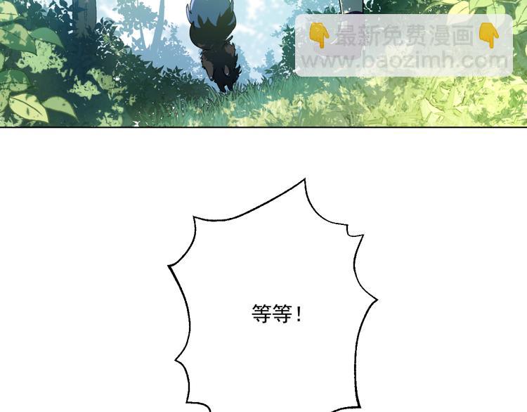 🍟某天成为公主 第17话 魔法师少年 第11页