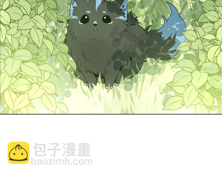 🍟某天成为公主 第17话 魔法师少年 第2页