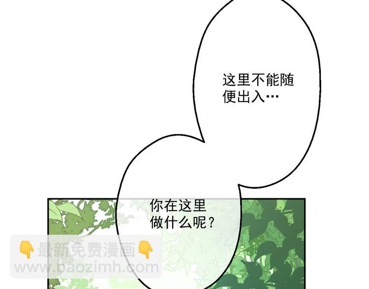 🍟某天成为公主 第17话 魔法师少年 第26页