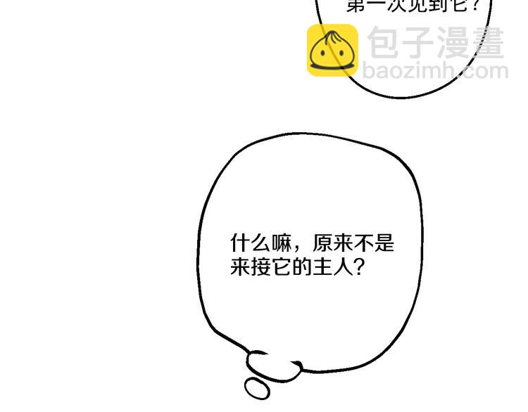 🍟某天成为公主 第17话 魔法师少年 第32页