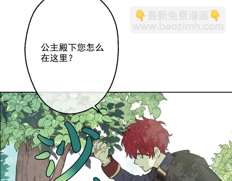 🍟某天成为公主 第17话 魔法师少年 第39页