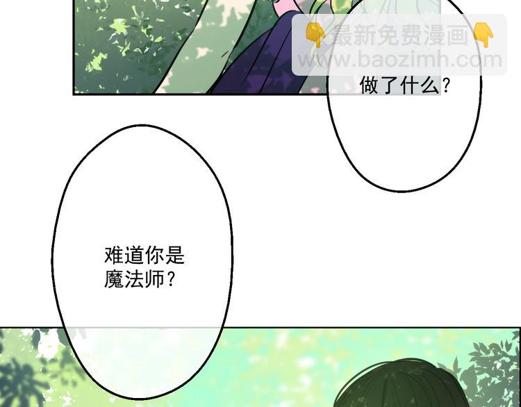 🍟某天成为公主 第17话 魔法师少年 第48页