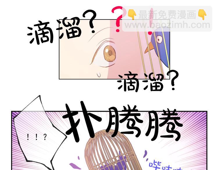 🍟某天成为公主 第41话 公主身上的诅咒 第8页