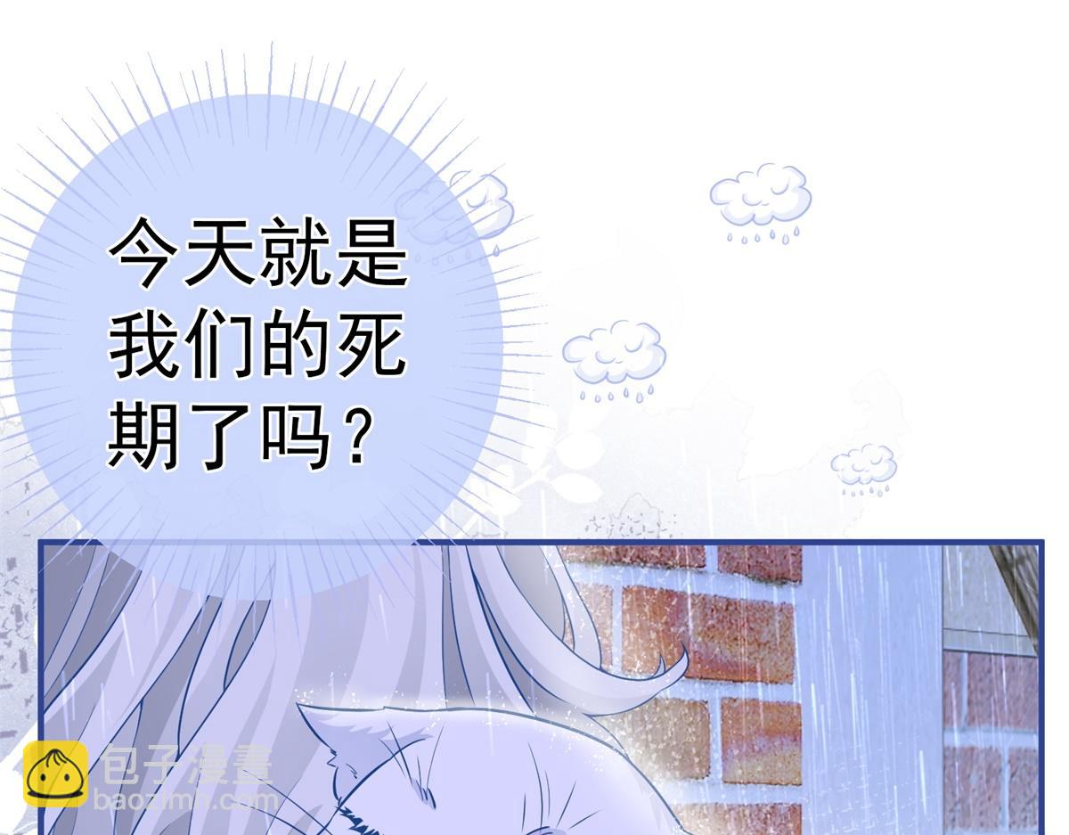 🍟某天成为祭品公主 第6话 化猫为书 第32页