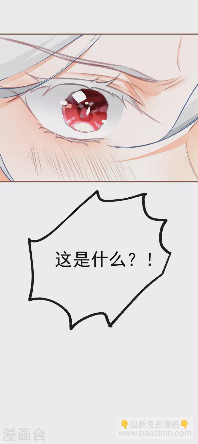 🍟某天成为祭品公主 第87话 画中人 第24页