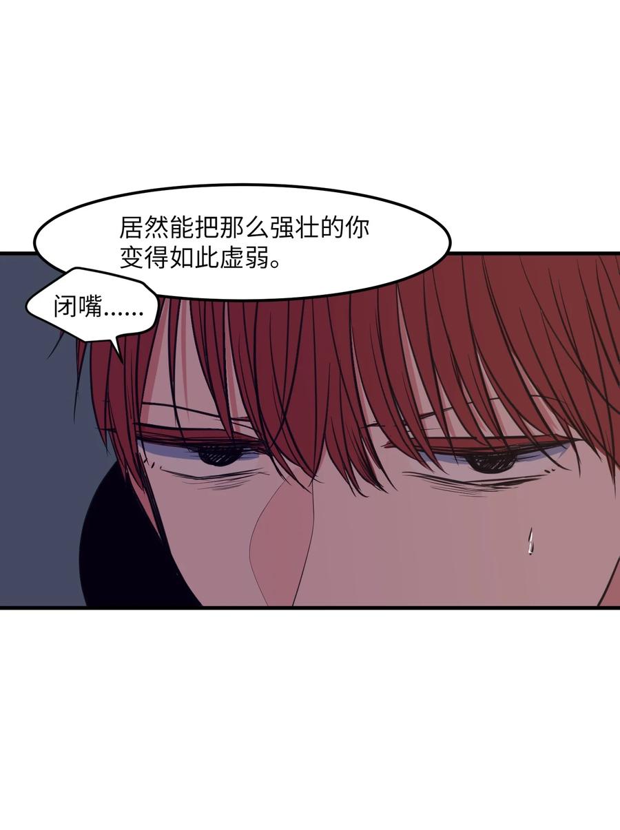 103 路奇菲的记忆(1/2)-第104话