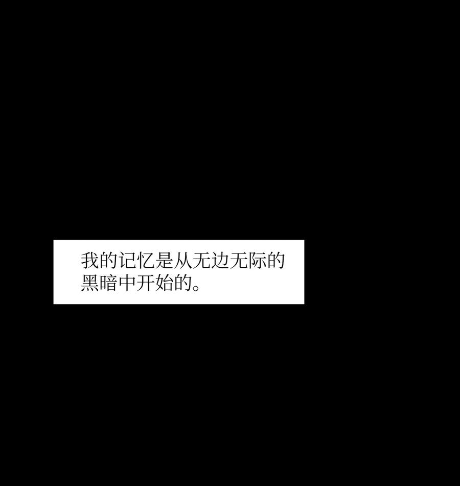 103 路奇菲的记忆(1/2)-第104话