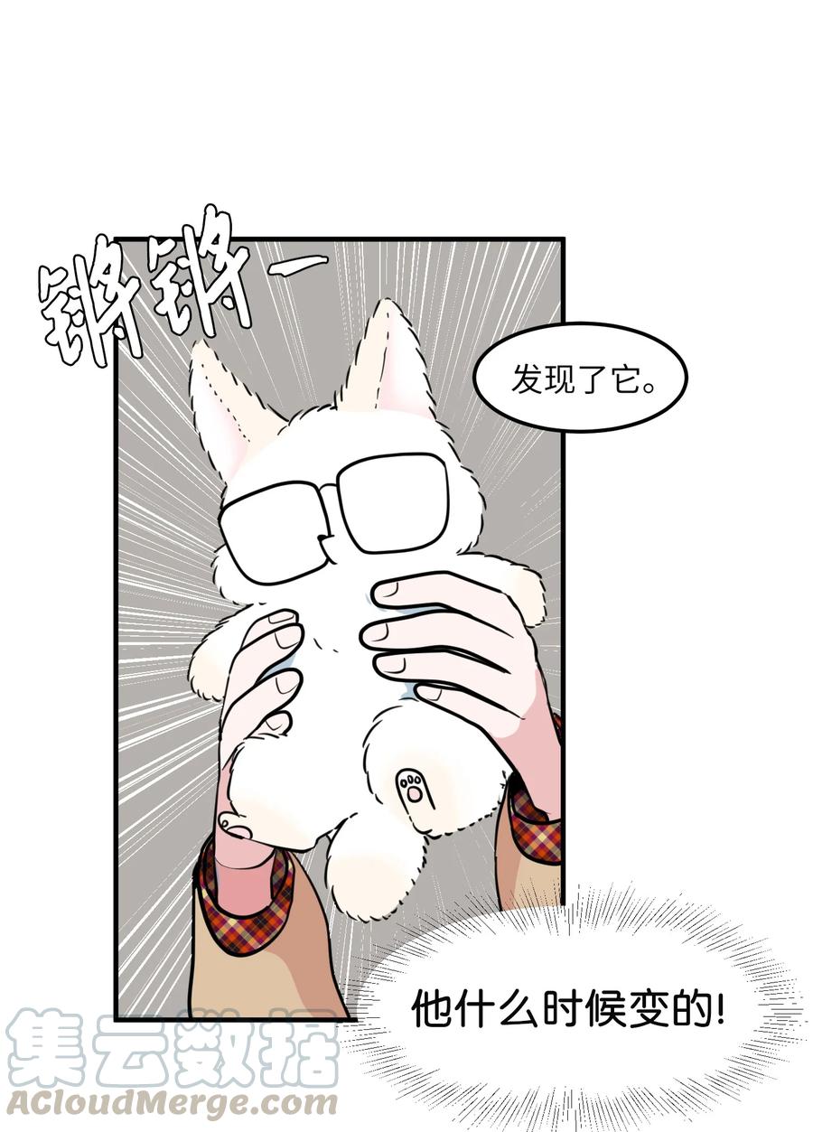 70 寻勇士头发记2(1/2)-第70话
