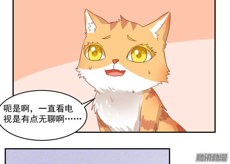 猫样温柔的你，眼中尽是深情~-第98话