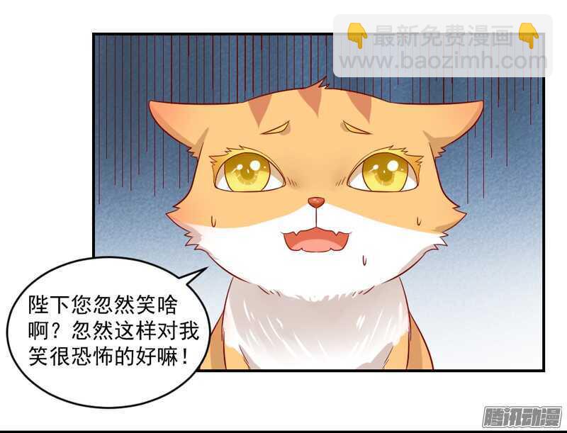 猫样温柔的你，眼中尽是深情~-第98话