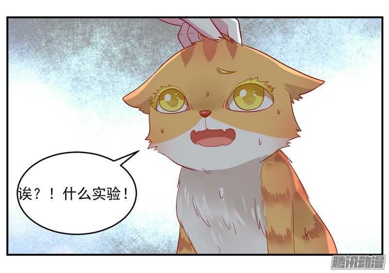 猫样温柔的你，眼中尽是深情~-第98话