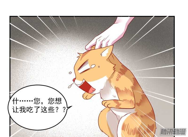 猫样温柔的你，眼中尽是深情~-第98话