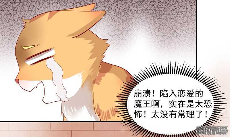 猫样温柔的你，眼中尽是深情~-第98话