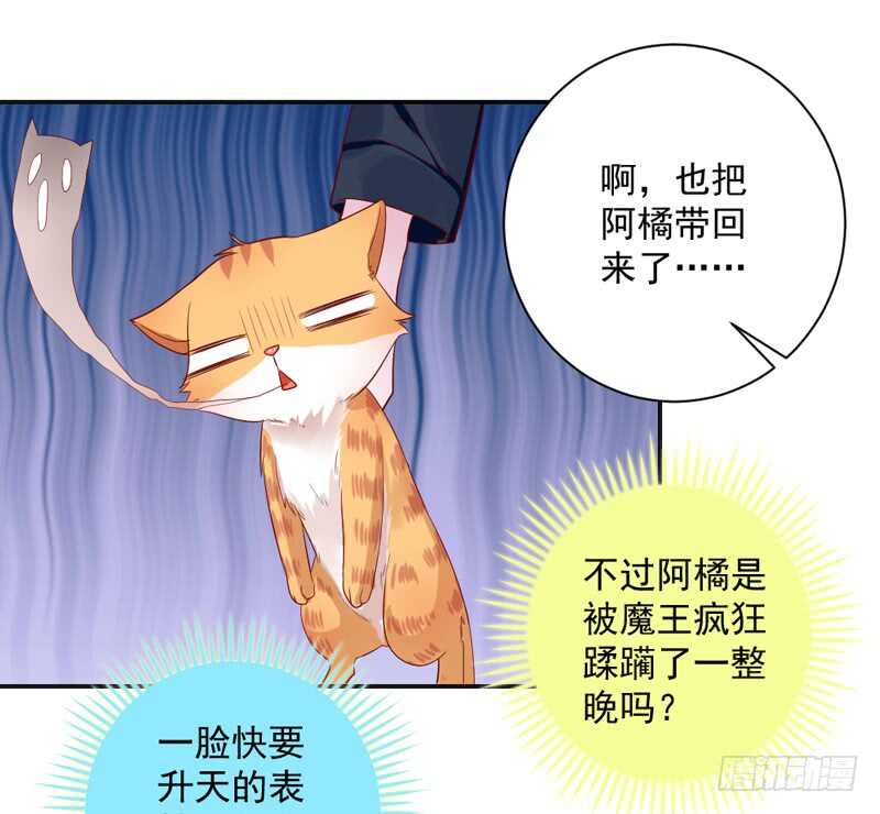 突然求婚！宝贝你可愿嫁我？-第138话