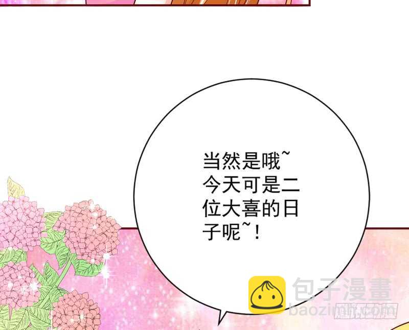 我的新娘，让本王来爱你~(1/2)-第178话