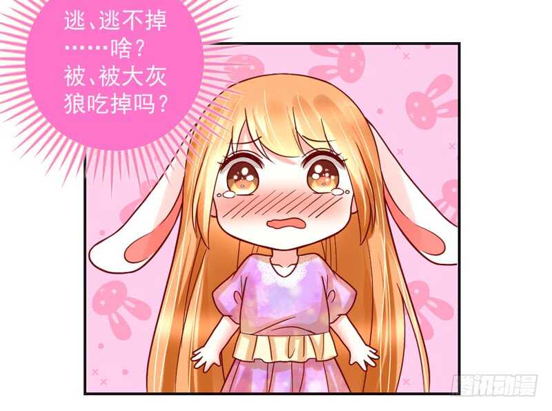 蜜月~大灰狼又要吃小兔子吗？(1/2)-第198话